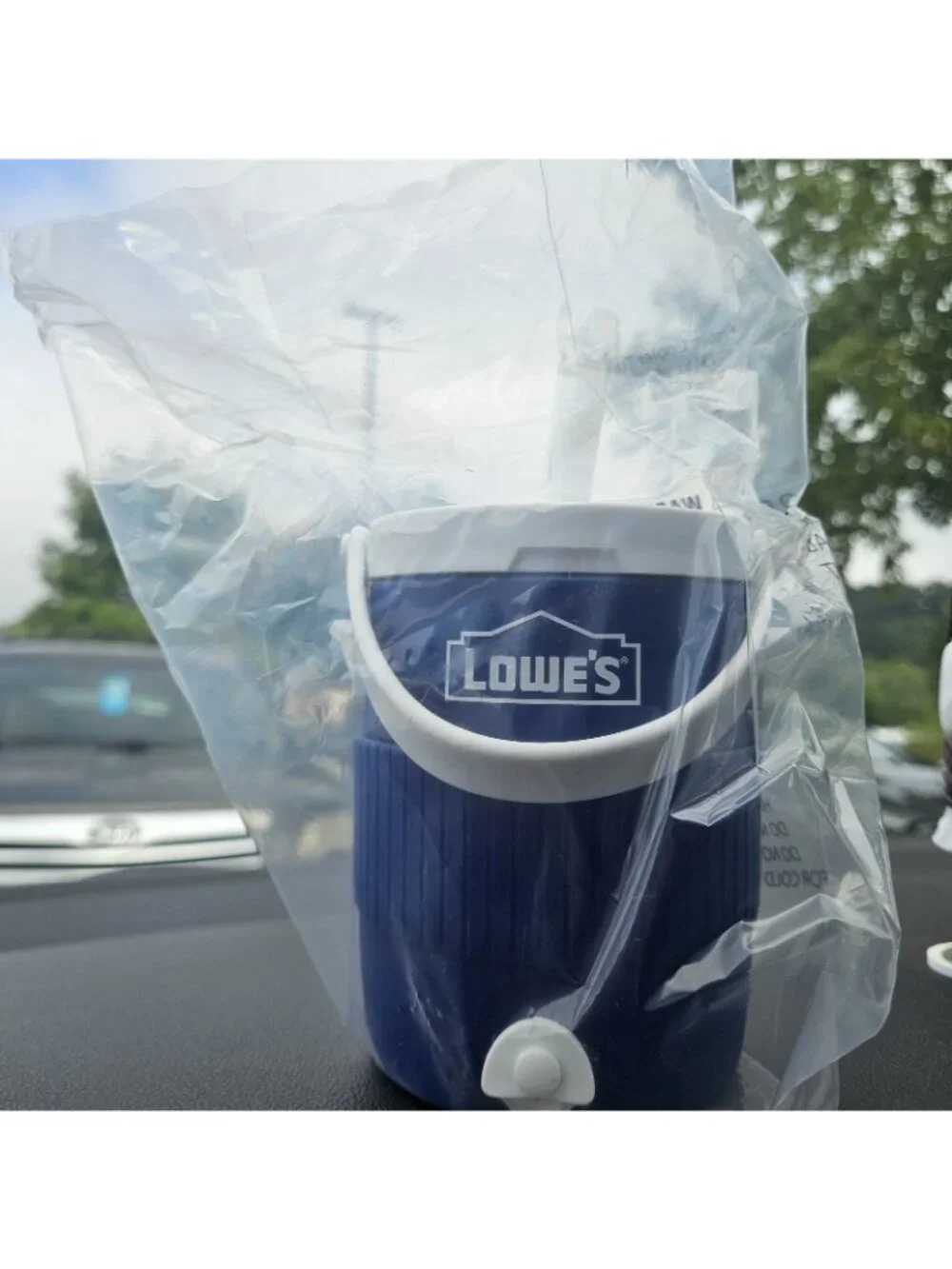 Lowe’s Mini Cooler Cup